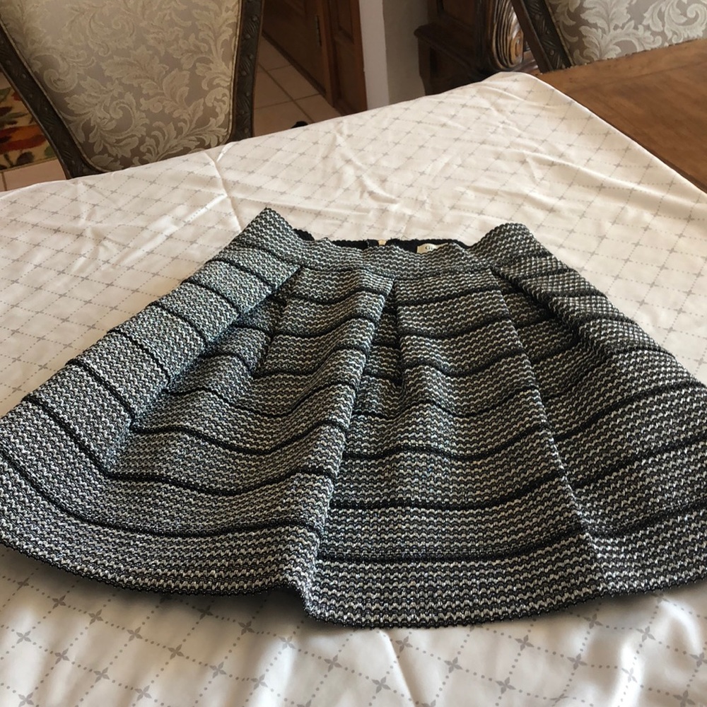 Black and Silver sparkly skirt.